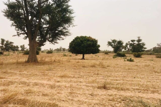 Terrain 8771 m² à Vendre — Malicounda, Thiès