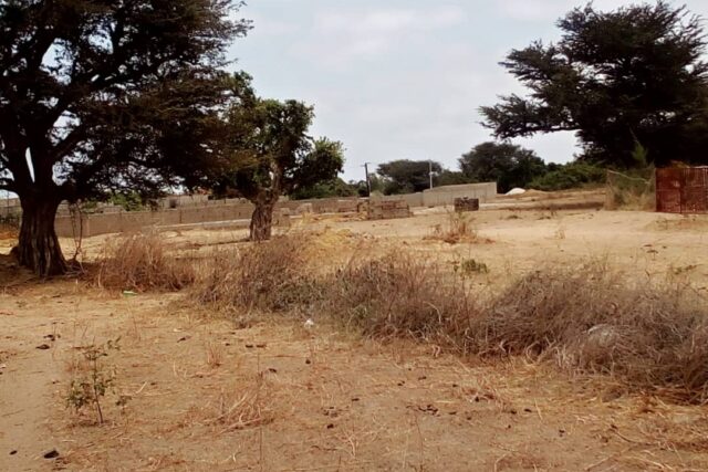Terrain 6.500 m² à vendre – Nguéniène, Thiès