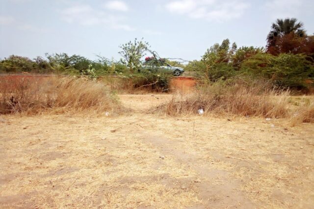 Terrain 6.500 m² à vendre – Nguéniène, Thiès
