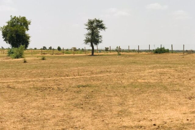 Terrain 8 ha à Vendre — Touba Toul, Thiès
