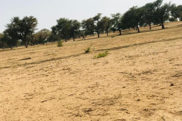 Terrain 9070 m² à Vendre — Touba Toul, Thiès