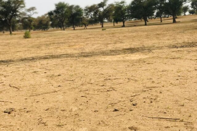 Terrain 9070 m² à Vendre — Touba Toul, Thiès