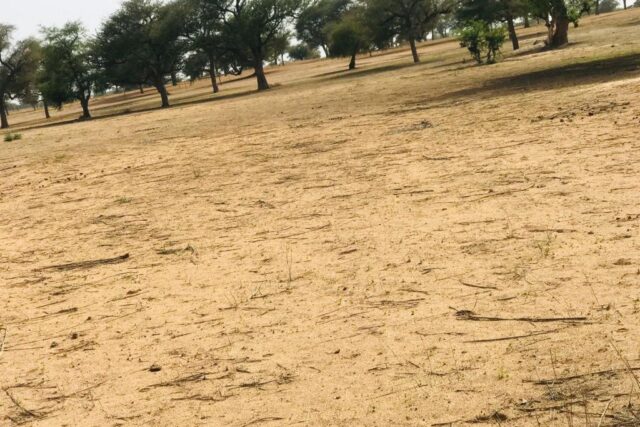 Terrain 9070 m² à Vendre — Touba Toul, Thiès