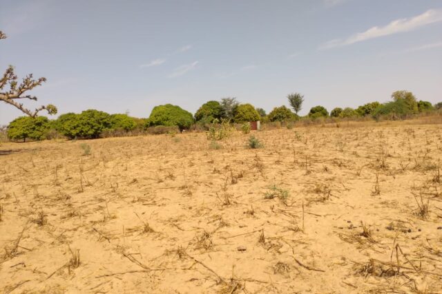 Terrain 9.942 m² à vendre – Sandiara, Mbour