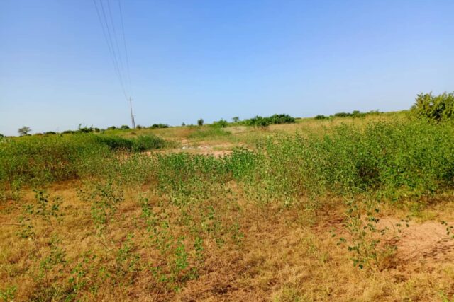 Terrain 8779 m² Bord Route à Vendre — Notto Diobass, Thiès