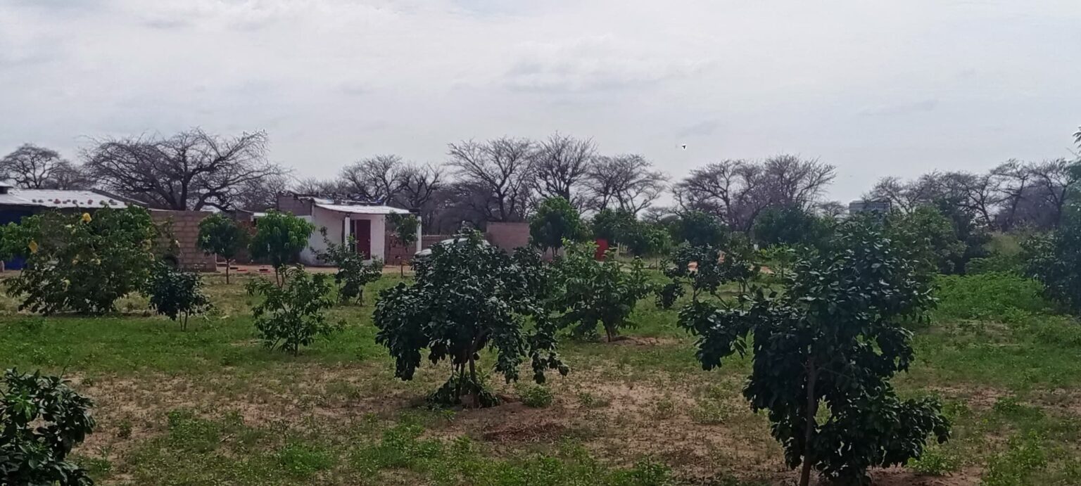 Ferme 1 hectare équipée et clôturée à vendre – Notto Diobass, Thiès