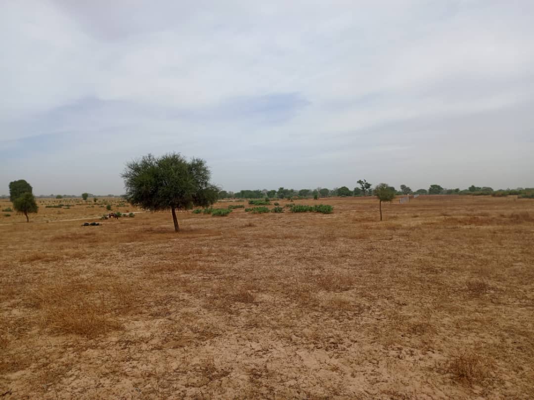 Terrain 7783 m² à Vendre — Tassette, Thiès