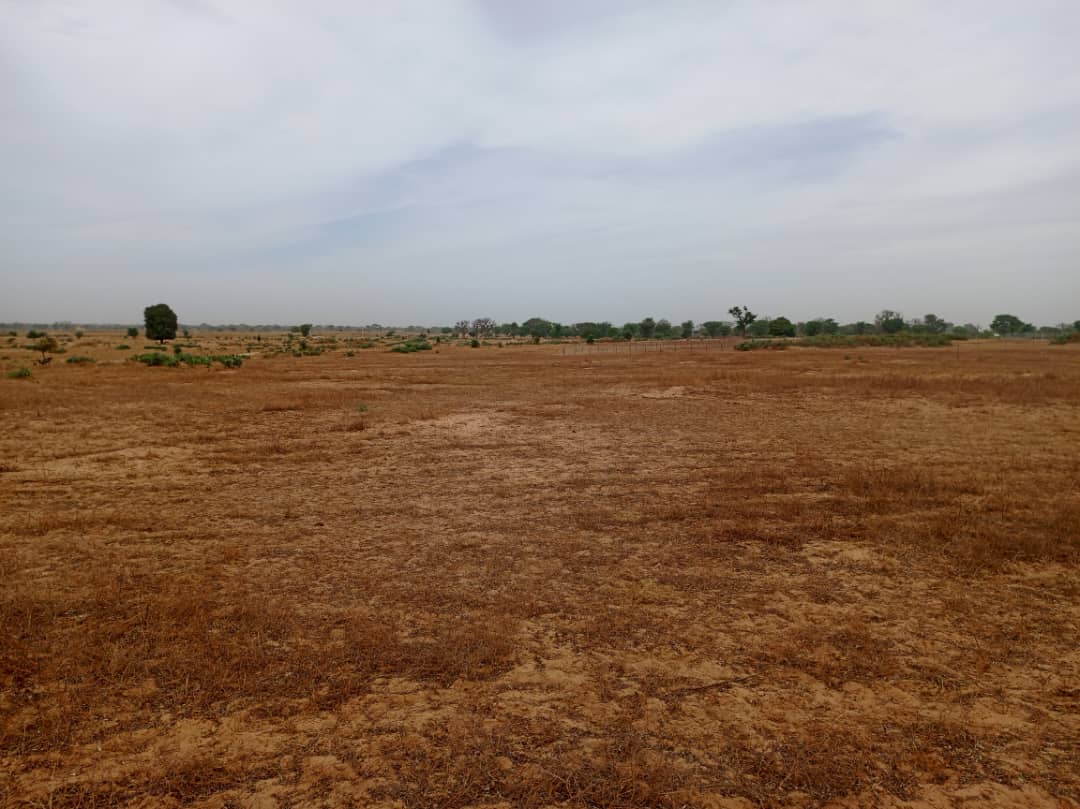 Terrain 7783 m² à Vendre — Tassette, Thiès