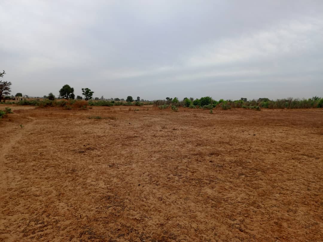 Terrain 7783 m² à Vendre — Tassette, Thiès