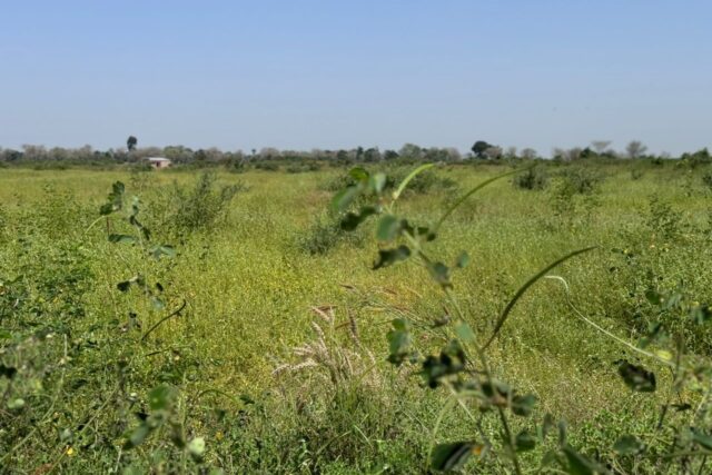 Propriété agricole 1,8 hectare à vendre – Fissel, Thiès