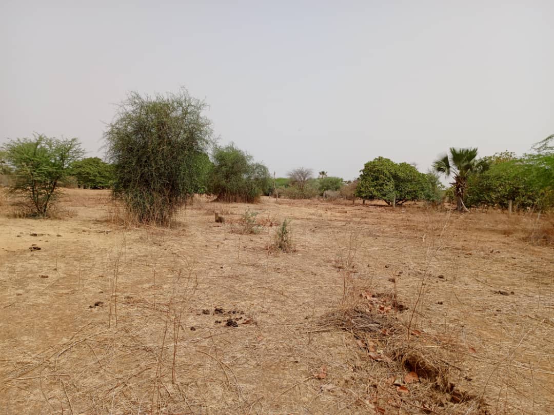 Terrain 9815 m² à Vendre — Notto Diobass, Thiès
