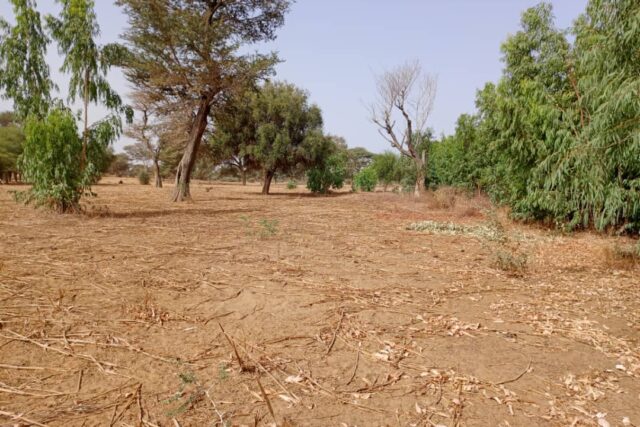 Terrain 7923 m² à Vendre — Tassette, Thiès