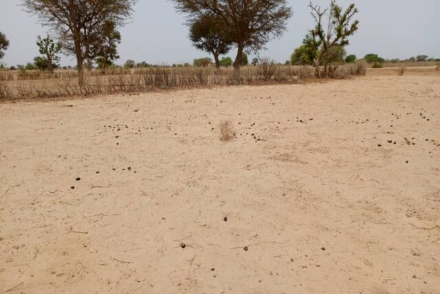 Terrain 7.067 m² à vendre – Tassette, Thiès