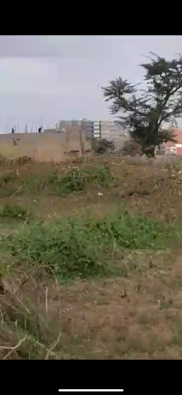Terrain 150 m² à vendre – Sébi Ponti, Diamniadio