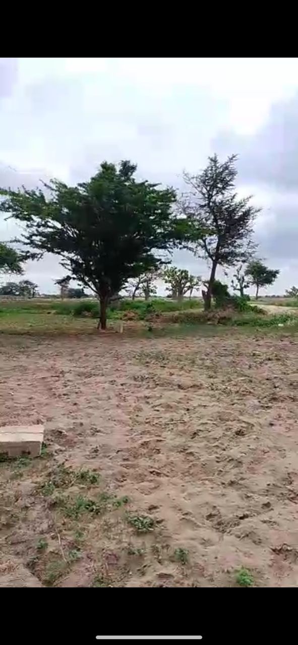 Terrain 150 m² à vendre – Sébi Ponti, Diamniadio