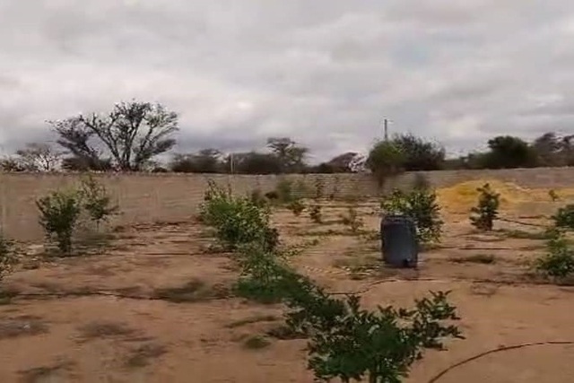 Verger 1 hectare équipé à vendre – Tassette, Thiès