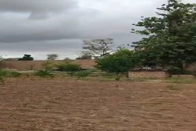 Verger 1 hectare équipé à vendre – Tassette, Thiès