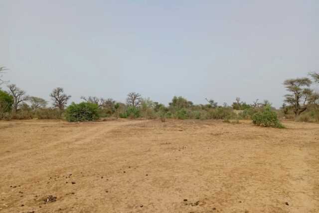 Propriété agricole 5 hectares à vendre – Tassette, Thiès