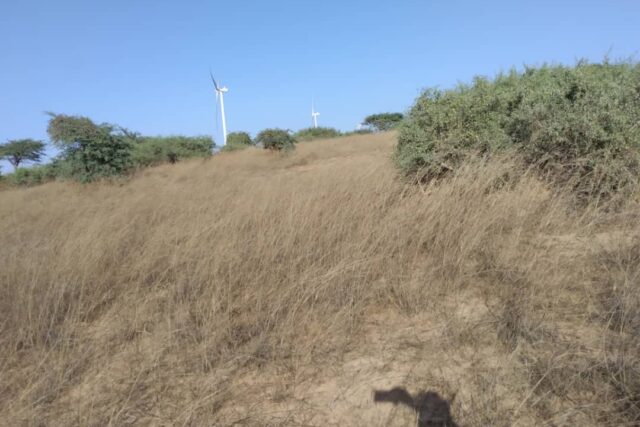 Terrain 9706 m² à Vendre — Taïba Ndiaye, Thiès