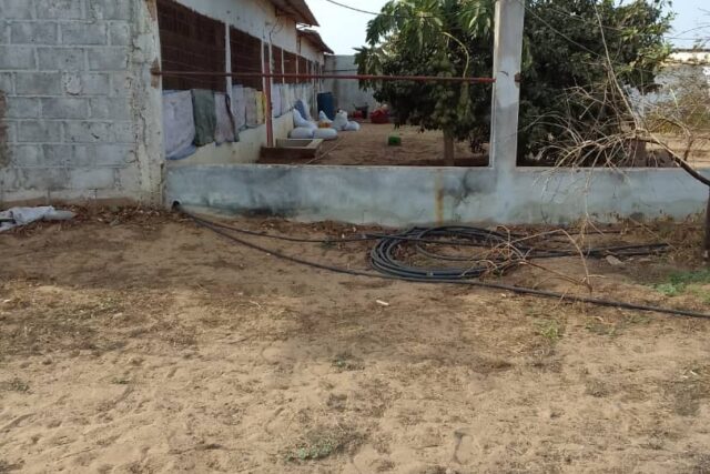 Ferme avicole 1,66 ha à vendre à Bambilor, Dakar