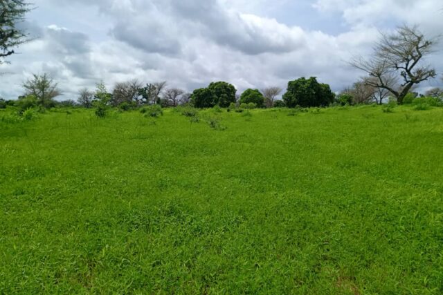 Terrain 8579 m² à Vendre — Notto Diobass, Thiès