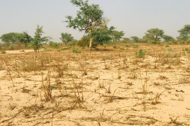 Propriété agricole 2,15 hectares à vendre – Méouane, Thiès