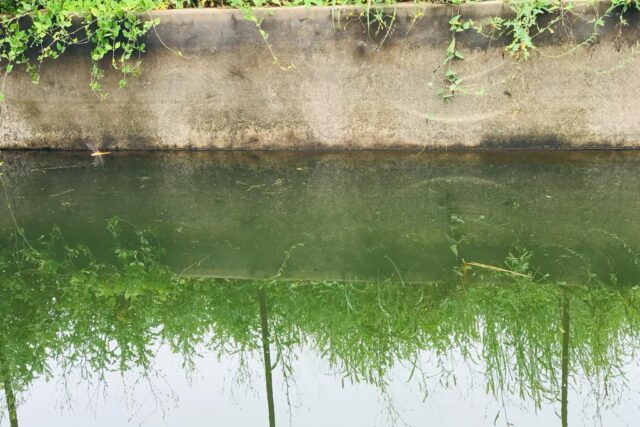 Ferme 10 hectares équipée à vendre – Darou Khoudoss, Thiès