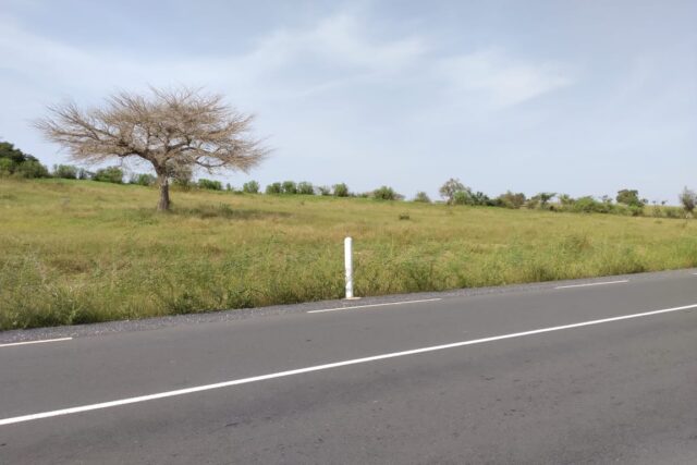 Terrain 9869 m² Bord Route à Vendre — Thieppe, Louga