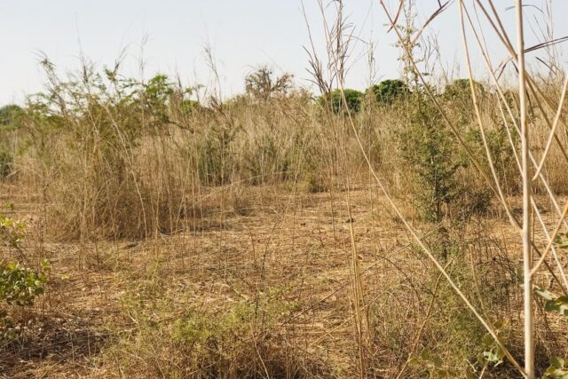 Terrain 8472 m² à Vendre — Chérif Lô, Thiès