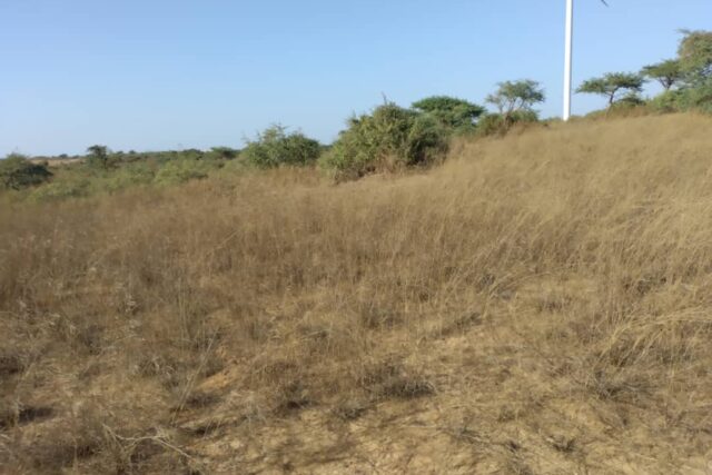 Terrain 9706 m² à Vendre — Taïba Ndiaye, Thiès