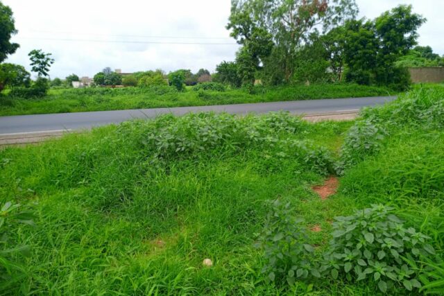 Terrain 8555 m² à Vendre — Keur Moussa, Thiès