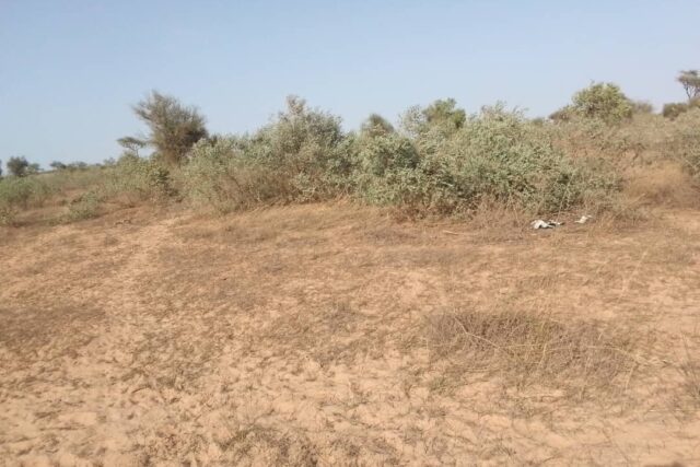 Terrain 6.112 m² à vendre – Thiénaba, Thiès