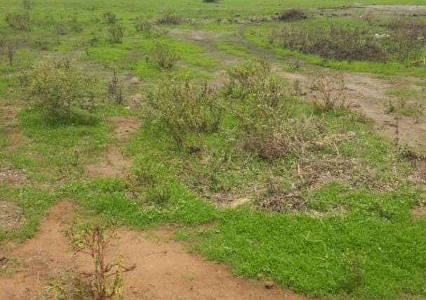 Terrain 8 ha à Vendre — Mbodiène, Thiès