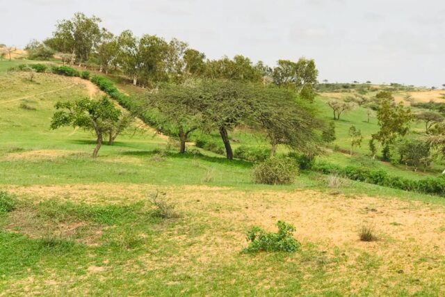 Terrain 6,42 ha à Vendre — Dioukoul Diawrigne, Louga