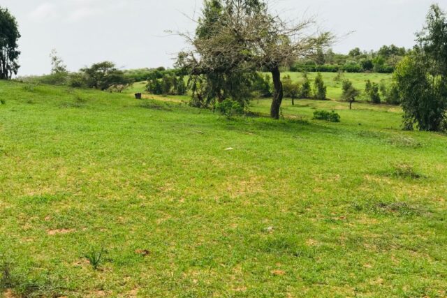 Terrain 6,42 ha à Vendre — Dioukoul Diawrigne, Louga