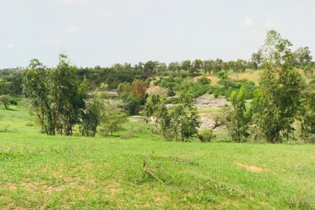 Terrain 7.007 m² à vendre – Diender Guedj, Thiès