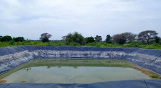 Exploitation agricole 10 hectares équipée à louer – Tassette, Thiès