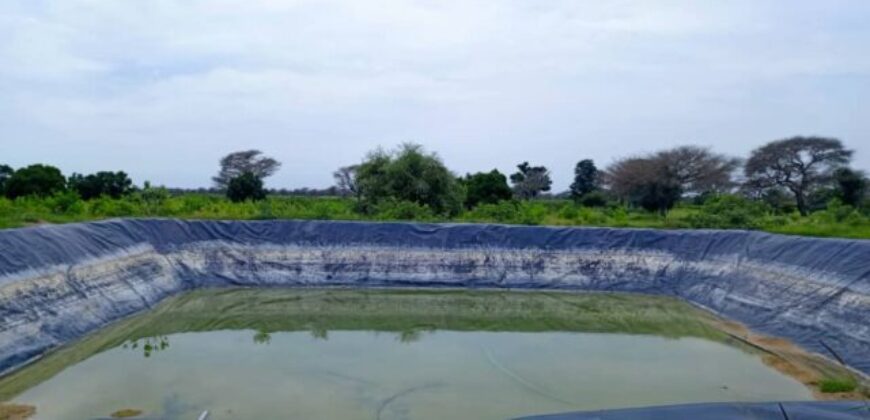 Exploitation agricole 10 hectares équipée à louer – Tassette, Thiès