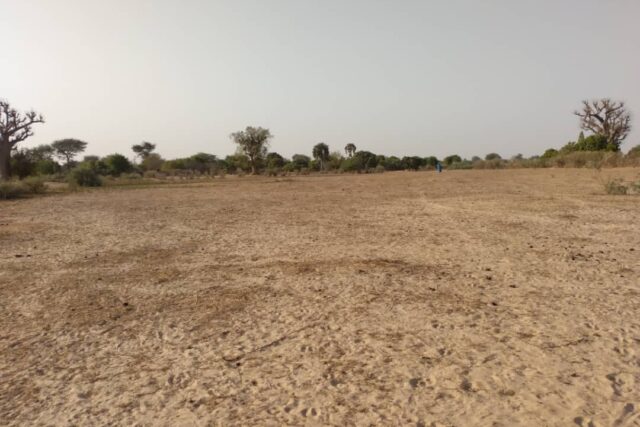 Terrain 6.928 m² à vendre – Tataguine, Fatick