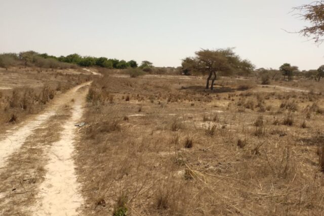 Terrain 9.889 m² à vendre – Darou Khoudoss, Thiès