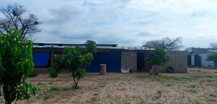 Ferme 1 hectare équipée et clôturée à vendre – Notto Diobass, Thiès