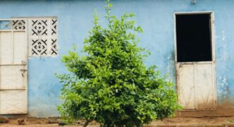 Ferme 10 hectares équipée à vendre – Darou Khoudoss, Thiès