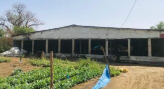 Ferme 1,55 hectare équipée à vendre – Pout, Thiès