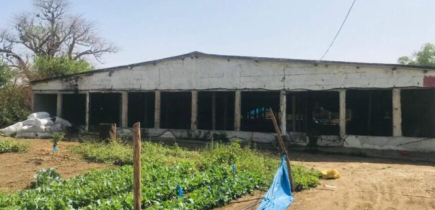 Ferme 1,55 hectare équipée à vendre – Pout, Thiès