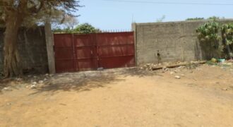 Ferme 1,95 hectare équipée à vendre – Keur Moussa, Thiès