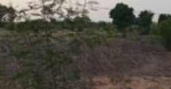 Ferme 21 hectares équipée à vendre – Keur Moussa, Thiès