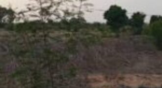 Ferme 21 hectares équipée à vendre – Keur Moussa, Thiès