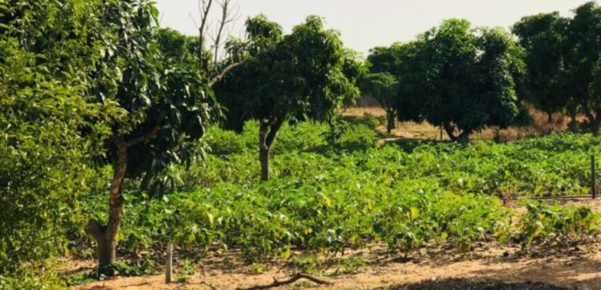 Ferme 3,70 hectares équipée à vendre – Diender, Thiès