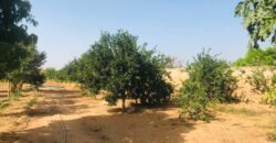 Ferme agricole 5.987 m² à vendre à Keur Moussa, Thiès