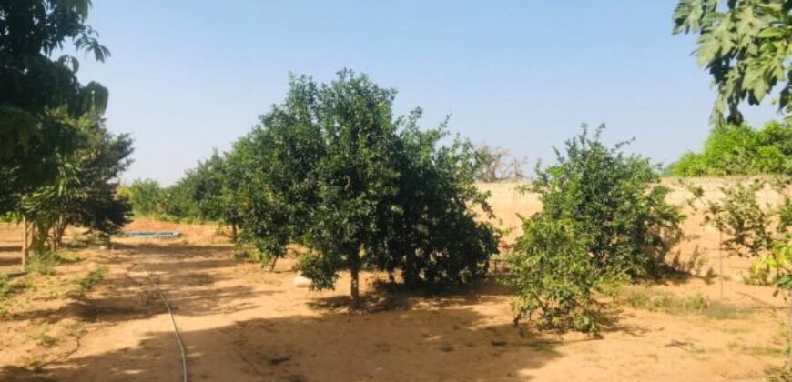 Ferme agricole 5.987 m² à vendre à Keur Moussa, Thiès
